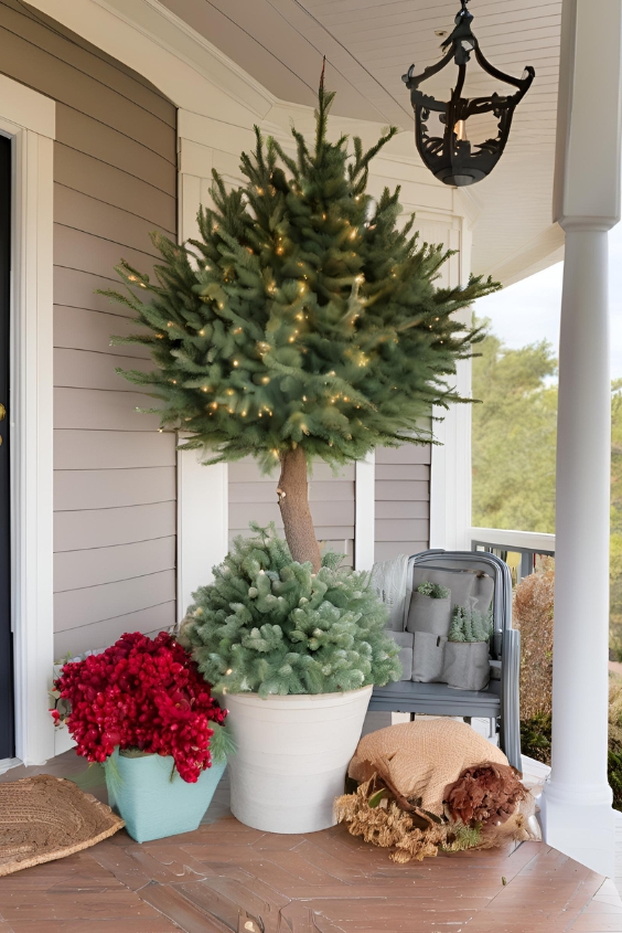 Tree-Topped Tranquility
