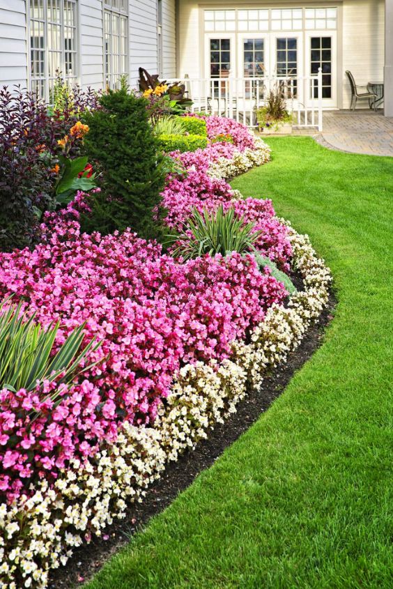 Create a DIY Perennial Flower Bed