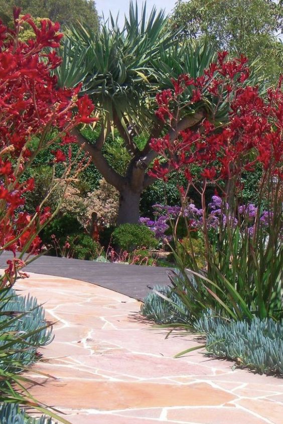Elevate Your Garden with a Raised Bed