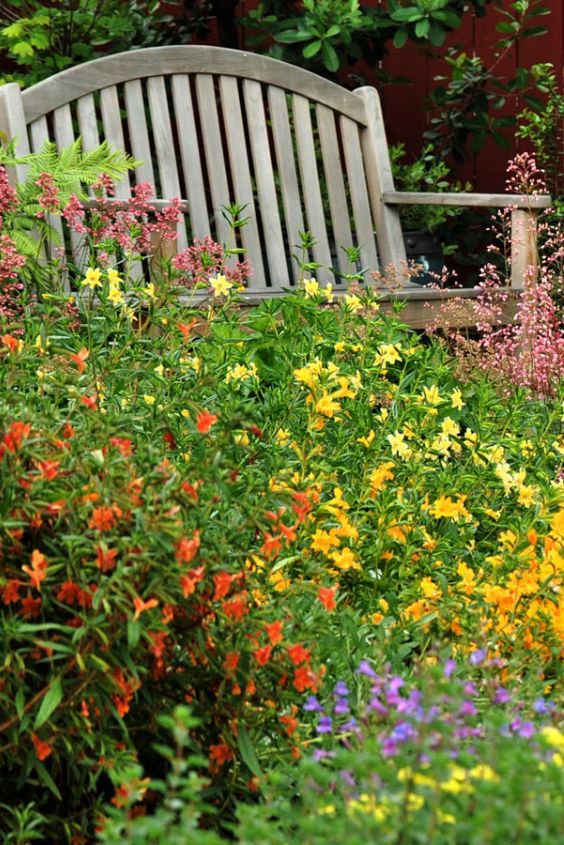 Help the Birds and Bees Thrive